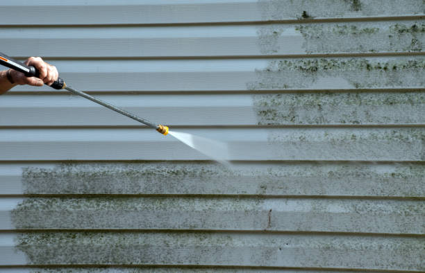 Best Toxic Mold Removal  in Dewey, OK