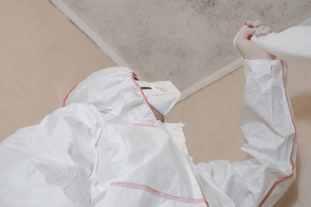 Best Mold Remediation  in Dewey, OK