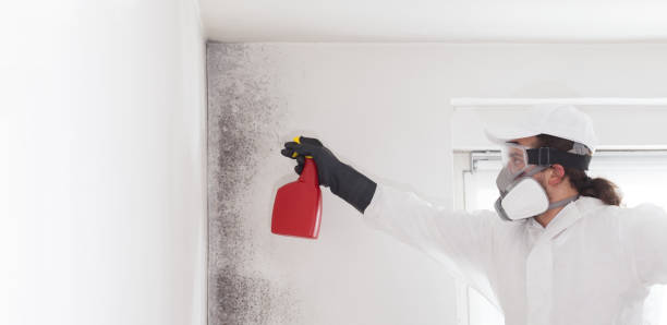 Best Professional Mold Removal  in Dewey, OK