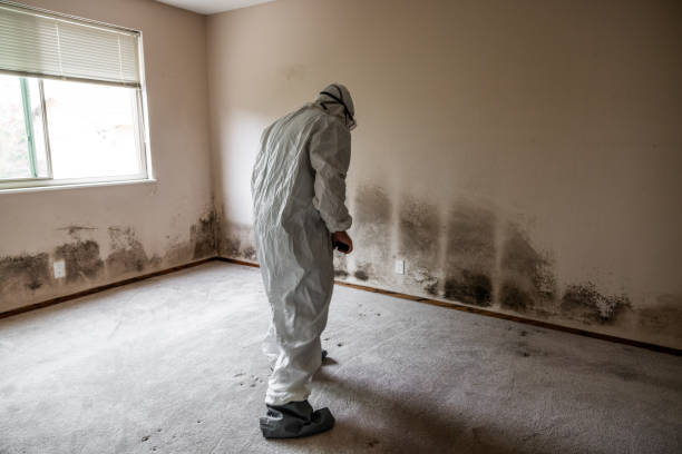 Best Office Mold Removal Services  in Dewey, OK